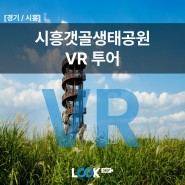 [경기/시흥] 가을 하면 생각나는 곳 '시흥갯골생태공원' VR 투어
