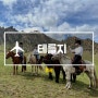 몽골 테를지 국립공원 안 가면 후회함!