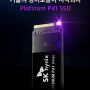SK하이닉스 Platinum P41, PCIe 4.0 NVMe SSD의 새로운 강자