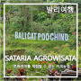 [발리여행 #18] Satria Agrowisata_발리의 루왁커피를 맛볼 수 있는 체험형 커피농장