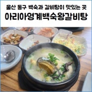 울산 백숙 맛집 아리아 영계백숙 왕갈비탕 능이전복삼계탕 후기