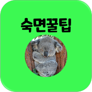 꿀잠 자는법 / 숙면에 좋은 꿀팁