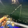 (내돈내산) 군산 비응항 쭈꾸미 갑오징어 낚시 이글스호 바다 선상 배낚시 출조