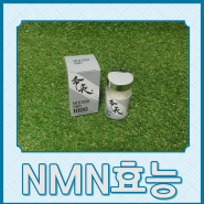 NMN 영양제 효능, 치매뇌영양제, 추석 부모님 선물 고민중이라면 메이쵸우 NMN 추천