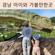 경남 아이와 가볼만한곳 2023 고성공룡세계엑스포 입장료 공연시간