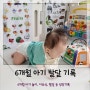6개월 아기 발달 놀이와 성장특징