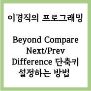 Beyond Compare Next/Prev Difference 단축키 설정하는 방법!