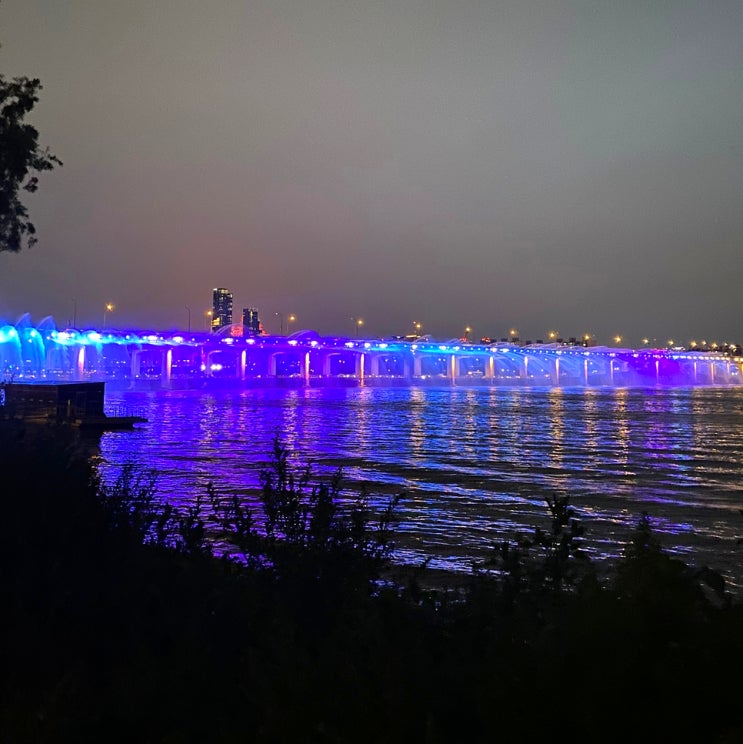 서울 야경 데이트 반포한강공원 텐트 돗자리 자전거대여 반포대교 달빛무지개분수 : 네이버 블로그