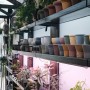 시흥 플랑드르 식물이지샵 by 위플랜츠 : 수제토분, 예쁜 식물, 희귀식물 가득!