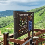 [고창] 문수산/축령산 편백숲 공간 재창조사업 안내판 제작 설치