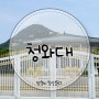 서울 가볼 만한 곳) 청와대, 국민 품으로(with. 관람 예약, 주차, 무료 셔틀버스)