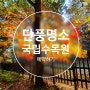 [포천] 가을 경기도 단풍 명소 '국립수목원' 예약하기(+23년 단풍 시기)