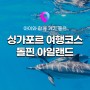 [싱가포르 여행] 아이와 가기 좋은 싱가포르 필수코스 '돌핀 아일랜드' 돌고래 체험 총정리! (+유니버셜 스튜디오 입장권 무료 증정!)