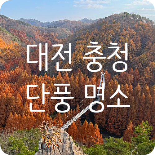 대전 충청 단풍 명소 가을 절정 느낄 수 있는 장태산자연휴양림...