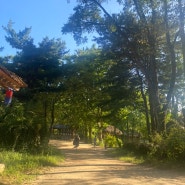 용인 가볼만한곳 용인 민속촌 나들이