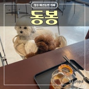청주 용암동 에그타르트 맛집 | 카페 동봉 (강아지 동반)