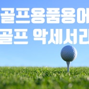 골프 초보를 위한 골프용품용어 3탄 골프클럽커버, 골프 악세서리