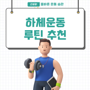 남자 여자 헬스장 하체 운동 루틴 (머신 기구 종류 순서, 프리웨이트 맨몸, 대퇴사두근, 햄스트링, 둔근 및 종아리 근육 가동범위)