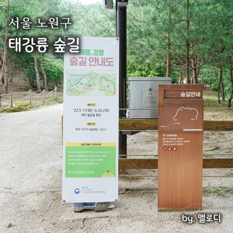 태릉 강릉 태강릉 가는방법 숲길개방 : 네이버 블로그