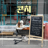 운천동 유럽 브런치 카페 | 청주 카페 콘치 (강아지 동반)