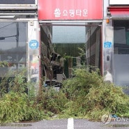 [연합뉴스] 3기 신도시, 올해 부지 조성 공사 착수