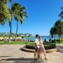 하와이 신혼여행 8박10일 일정 추천👍🏝 (빅아일랜드 3박+오아후 5박)
