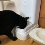 고양이 자동급식기 밀리 조립 및 어플사용법 내돈내산 후기