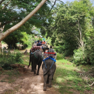 태국 가족여행 | 방콕, 파타야 3박5일 패키지_코끼리 트래킹, 농눅빌리지 관광, 코끼리쇼, 악어농장 관광