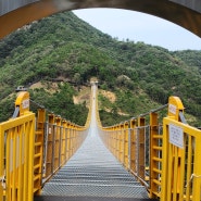 대전근교 가볼만한 곳 금산 월영산 출렁다리 주차, 이용