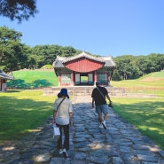 서울 근교 산책 추천(잠실에서 30분), 경기도 구리 동구릉 가을 산책(임산부 무료)