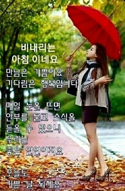 비내리는 수요일 아침인사 이미지 : 네이버 블로그