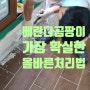 판교 분당 베란다곰팡이 가장 확실한 올바른 처리법