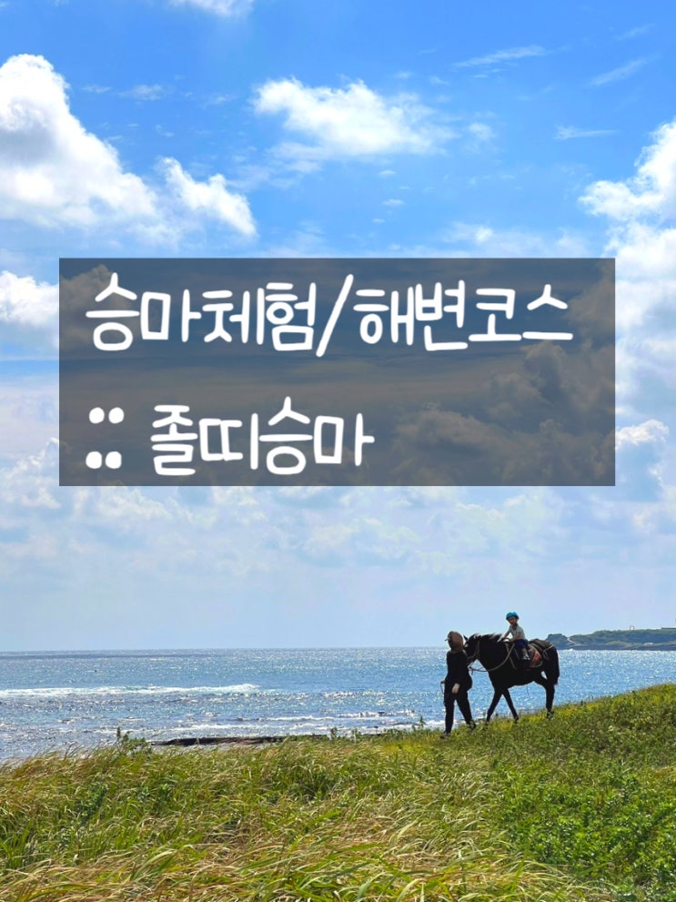 해변체험/아이와함께제주여행/유아동승마체험/팁 :: 졸띠승...