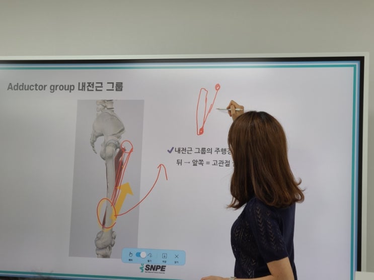 snpe 100일 중 20일째 수련중 그리고 해부학 : 네이버 블로그