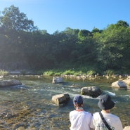 강원도 정선 펜션숙소 추천 계곡 물놀이 가능한 구름사다리펜션