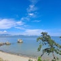 [부산광역시 강서구 대항동] 대형카페의 바이블 같은 곳! 멋진 바다를 볼 수 있었던 '구디너프'