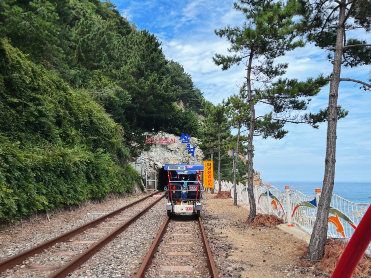 삼척해양레일바이크 - 용화정거장 출발!