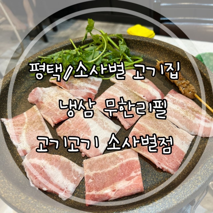 평택/비전동 냉삼 맛집 :: 고기고기 소사벌점