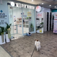 강아지 건강검진은 약수 동물병원 _신당동 힐스타운 동물병원에서 ! 🎶🐶