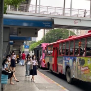 [태국 방콕 여행] 방콕 버스 타는법 - 방콕 대중교통 방콕버스비 방콕에서 가장 저렴한 교통수단 추천! 🚌
