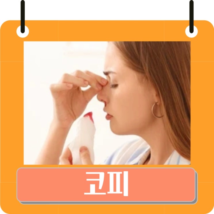 코피 원인, 코피 자주나는 이유, 코피 멈추는법 지혈 : 네이버 블로그