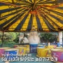 연휴와 주말, 용인 한국민속촌 야간개장 5살아이가 탈수있는 놀이공원 놀이기구 후기 및 정보소개