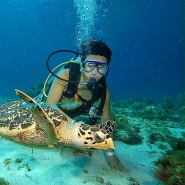 멕시코 칸쿤 여행 MUSA 무사 해저박물관 다이빙 액티비티 체험 ( 바다거북이와 이글레이 )