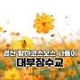 10월 대구 근교 경산 나들이, 하양 대부잠수교 황하코스모스 개화상황