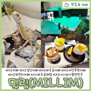 다양한 파충류를 만날 수 있는 대구 앞산 이색 카페 밀림(MILLIM) 아이와 가볼만한곳