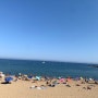 [바르셀로나] 2일차: t-casual 바르셀로나 교통권 구매, 바르셀로네타 해변_ TAPA TAPA(타파타파) _마레매그넘 맛집