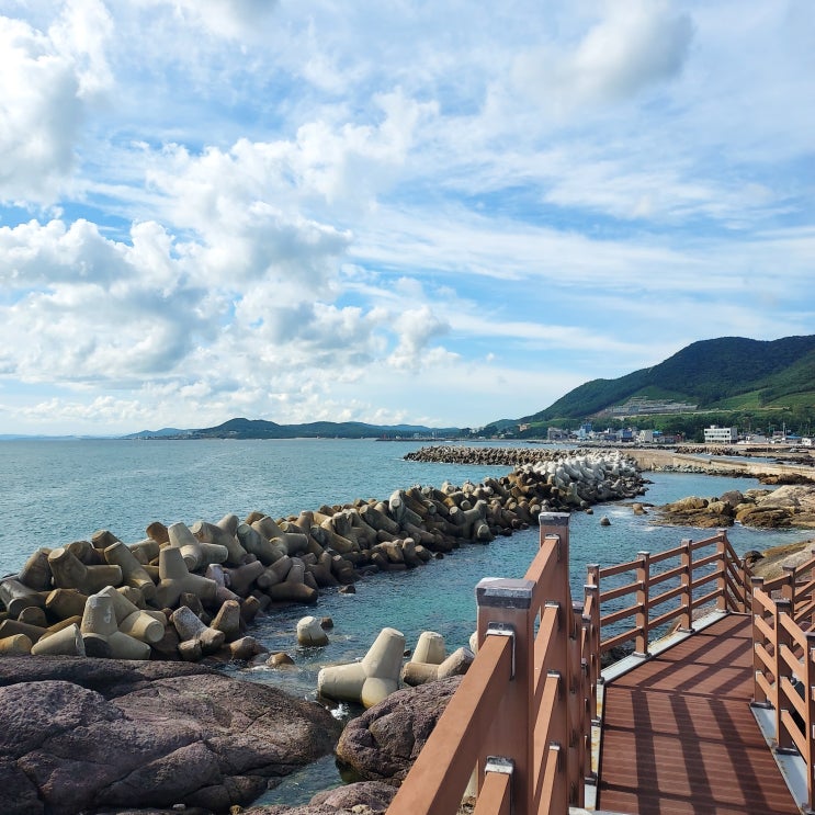 영덕 여행 - 영덕 힐링턴 펜션에서 대한민국 최고의 바다 전망을 만끽하다 / 영덕 힐링턴 펜션 후기 ☆ : 네이버 블로그