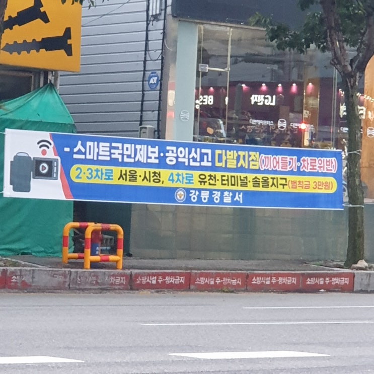 강릉 터미널오거리 차로위반 스마트국민제보 신고 다발지점 : 네이버 블로그