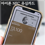아이폰 NFC 유심 카드 사용해야할까? 갤럭시 교통카드 차이