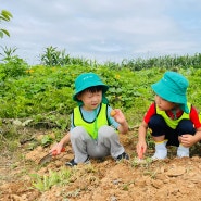 Elim 성품 리더들은, 🥕채소 지킴이 🌍환경 지킴이